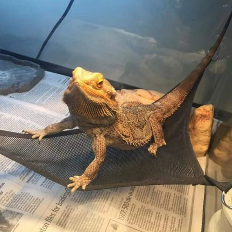 Reptile Hammock Lounger Ladder Accessories Set for Large Small Bearded Dragons Anole Geckos Lizards or Snakes Reptile Accessorie