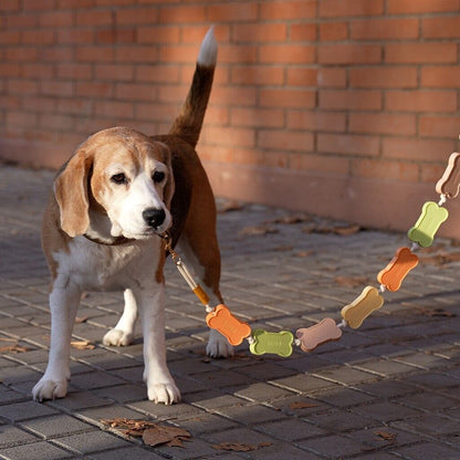Dog Leash for Small Dogs Novelty Plastic Biscuit Lightweight Training Lead Rope