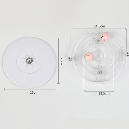 Interactive Cat Spin & Learn Toy