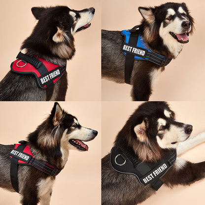 Dog Harness ID Tag Custom Harness