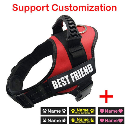 Dog Harness ID Tag Custom Harness